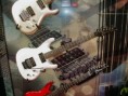 /album/galeria-de-fotos-guitarras-famosas/js1000wh-jpg/